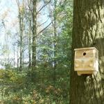 Volkswagen T1 Bus Vogelhuisje